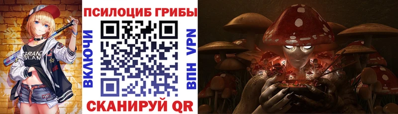 где можно купить   Кремёнки  Галлюциногенные грибы мухоморы 